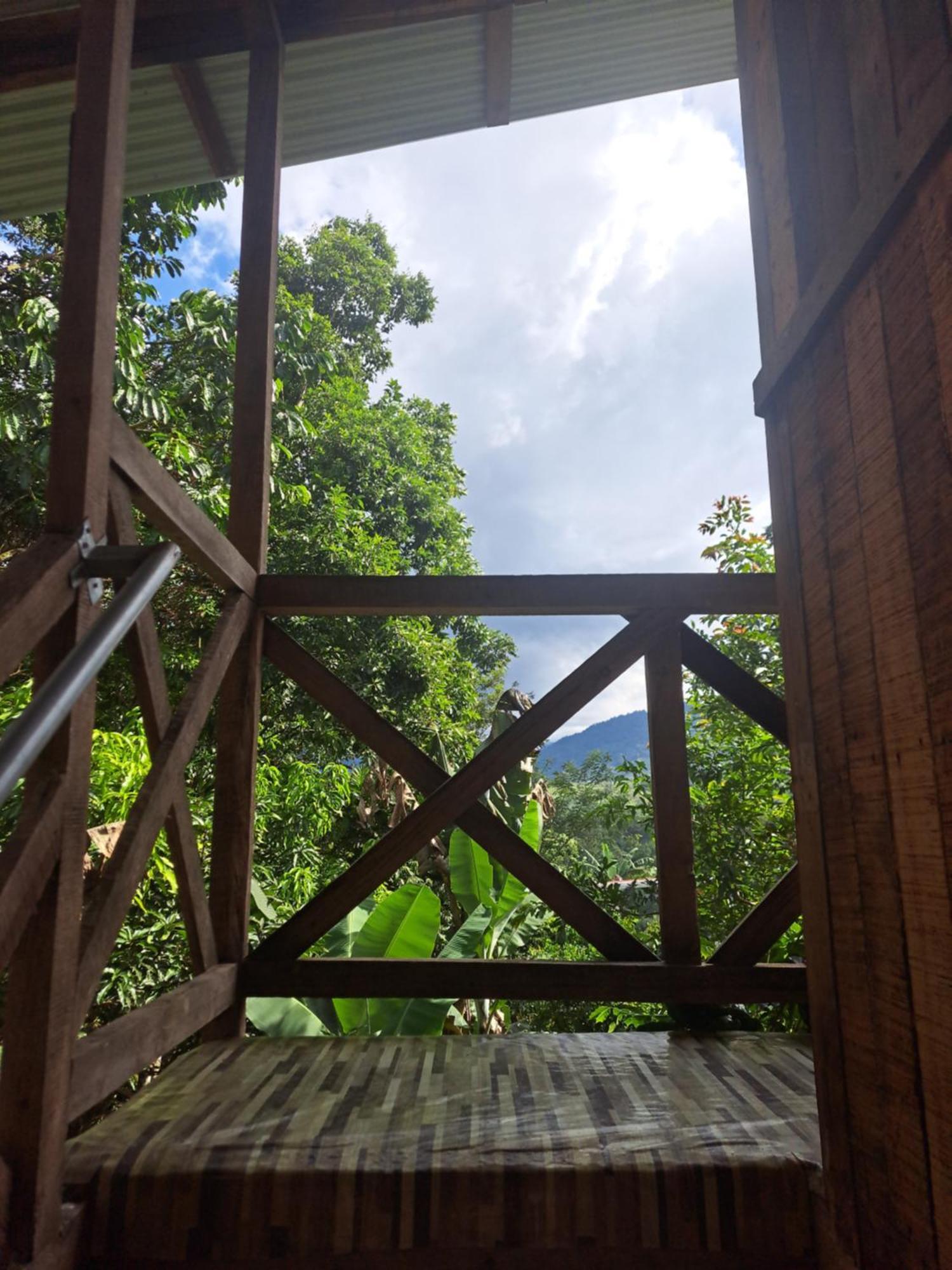 Hospedaje Luis Y Ana Pejibaye Buitenkant foto